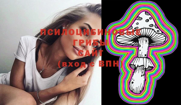 прущие крисы Вязьма