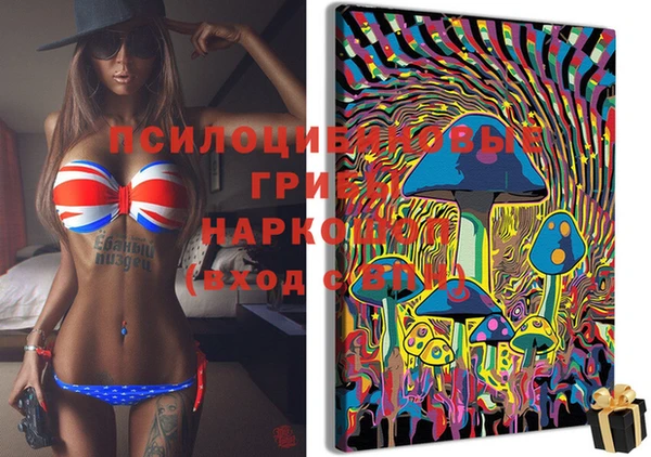 круглые Вяземский