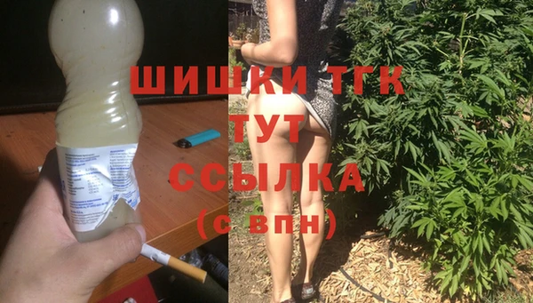 сатива Тавда