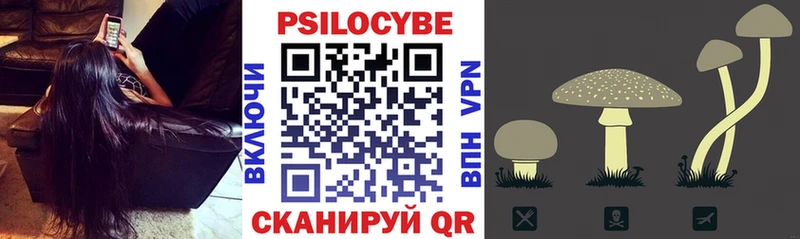 Галлюциногенные грибы Cubensis  Кировск 