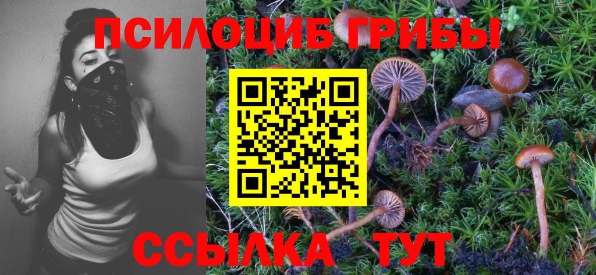 Галлюциногенные грибы Cubensis Кировск