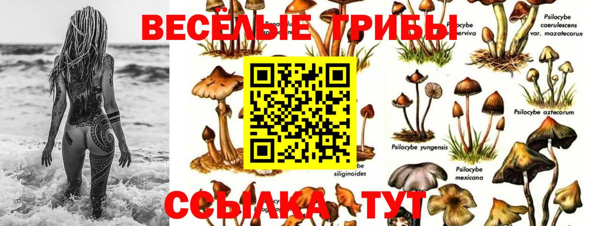 Галлюциногенные грибы прущие грибы  Вход с VPN  Кировск 