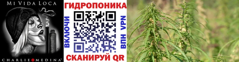 Каннабис марихуана  darknet формула  Кировск  OMG вход 